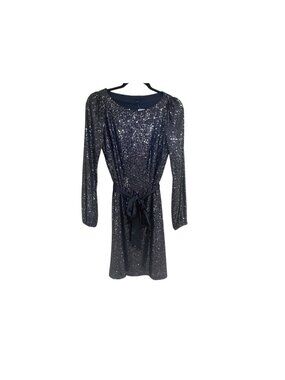 NWT Ann taylor sequin dress